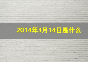 2014年3月14日是什么