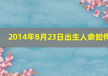 2014年8月23日出生人命如何