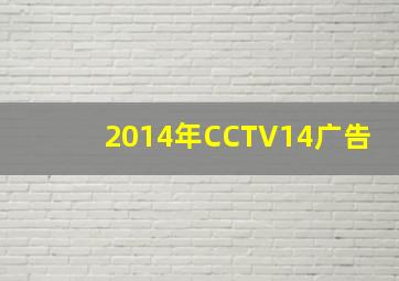 2014年CCTV14广告