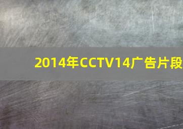 2014年CCTV14广告片段