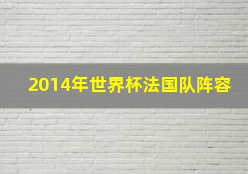 2014年世界杯法国队阵容