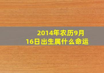 2014年农历9月16日出生属什么命运