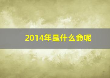 2014年是什么命呢