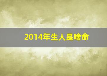 2014年生人是啥命