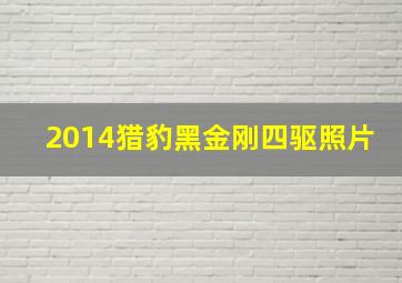 2014猎豹黑金刚四驱照片