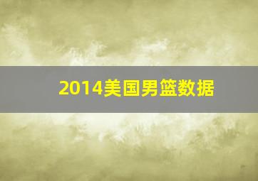 2014美国男篮数据