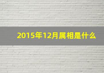 2015年12月属相是什么