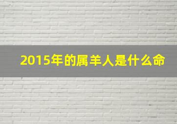 2015年的属羊人是什么命