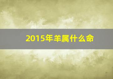 2015年羊属什么命