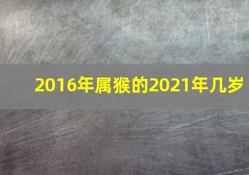 2016年属猴的2021年几岁