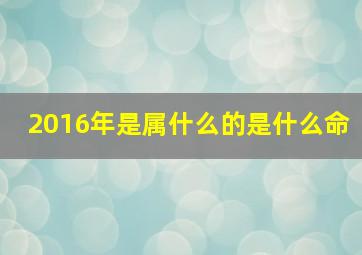 2016年是属什么的是什么命