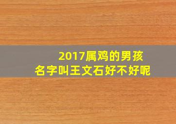 2017属鸡的男孩名字叫王文石好不好呢