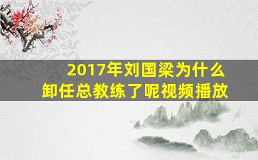 2017年刘国梁为什么卸任总教练了呢视频播放