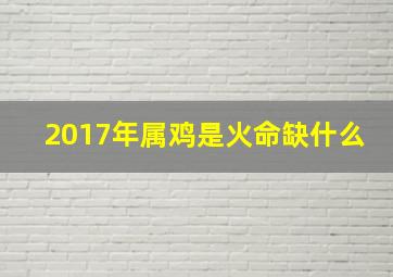 2017年属鸡是火命缺什么