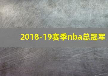 2018-19赛季nba总冠军