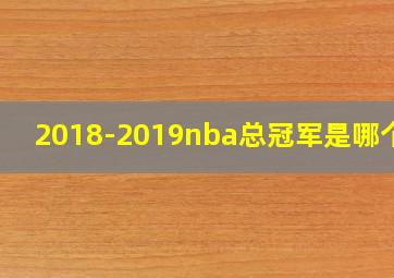 2018-2019nba总冠军是哪个队