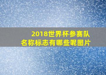 2018世界杯参赛队名称标志有哪些呢图片