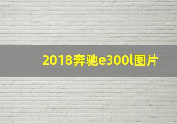 2018奔驰e300l图片