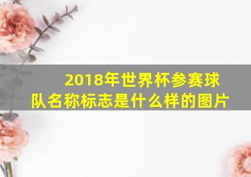 2018年世界杯参赛球队名称标志是什么样的图片