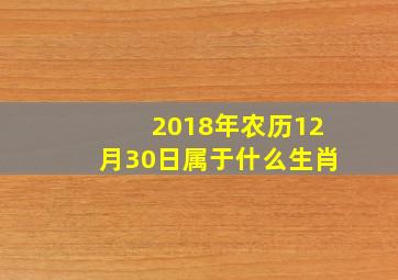 2018年农历12月30日属于什么生肖