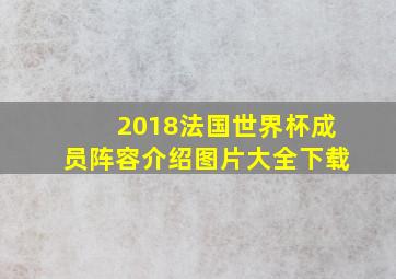 2018法国世界杯成员阵容介绍图片大全下载