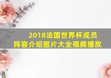 2018法国世界杯成员阵容介绍图片大全视频播放