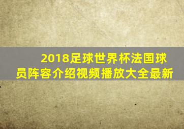 2018足球世界杯法国球员阵容介绍视频播放大全最新