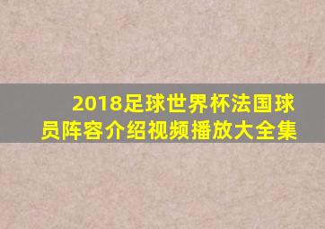 2018足球世界杯法国球员阵容介绍视频播放大全集