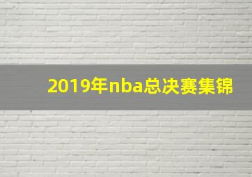 2019年nba总决赛集锦