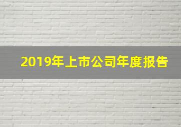 2019年上市公司年度报告