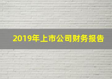 2019年上市公司财务报告