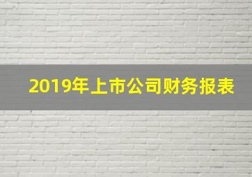 2019年上市公司财务报表