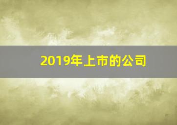 2019年上市的公司