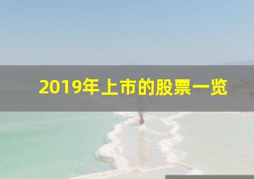 2019年上市的股票一览