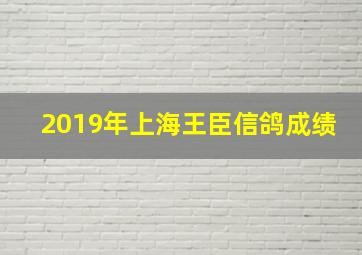 2019年上海王臣信鸽成绩