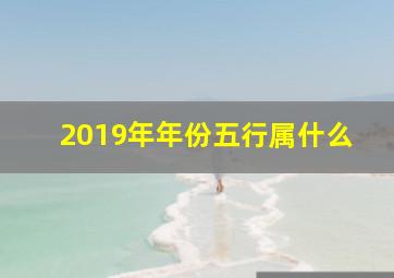 2019年年份五行属什么