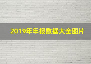 2019年年报数据大全图片