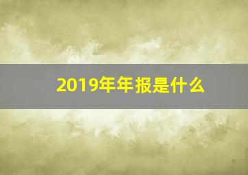 2019年年报是什么