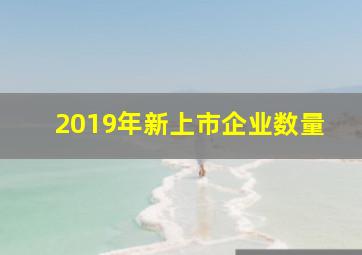 2019年新上市企业数量