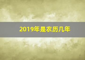 2019年是农历几年