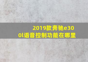 2019款奔驰e300l语音控制功能在哪里