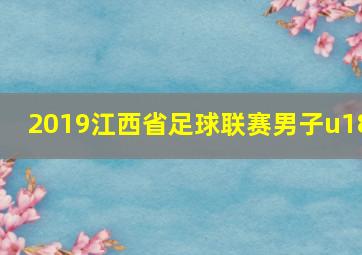 2019江西省足球联赛男子u18