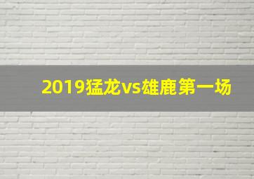 2019猛龙vs雄鹿第一场