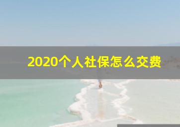 2020个人社保怎么交费