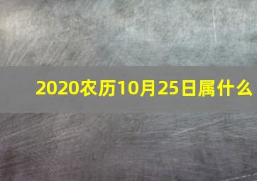 2020农历10月25日属什么