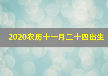 2020农历十一月二十四出生