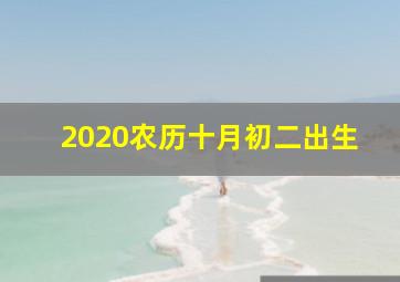 2020农历十月初二出生