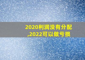 2020利润没有分配,2022可以做亏损