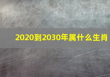 2020到2030年属什么生肖