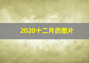 2020十二月的图片